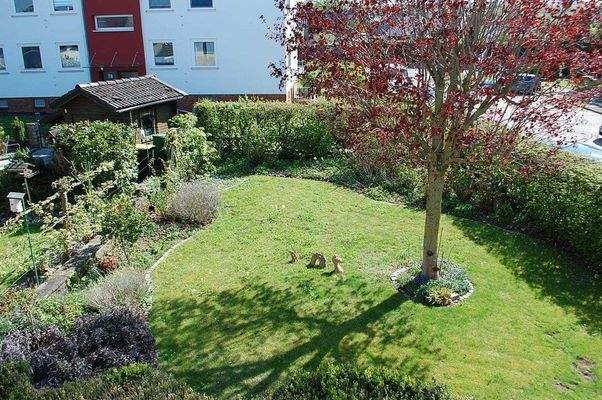 Gartenanlage mit angelegten Beeten und Rasenfläche